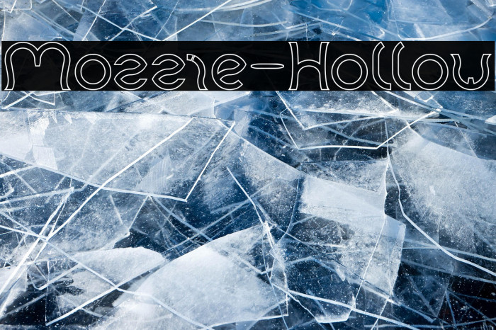 Mozzie-Hollow Example 1