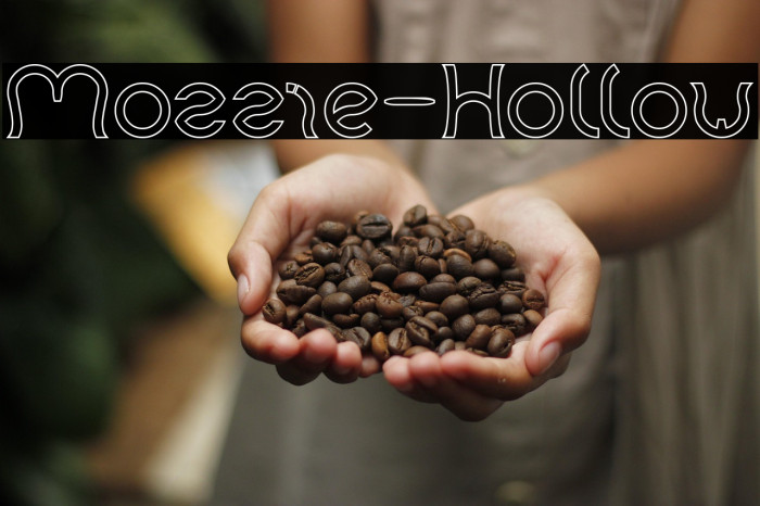 Mozzie-Hollow Example 3