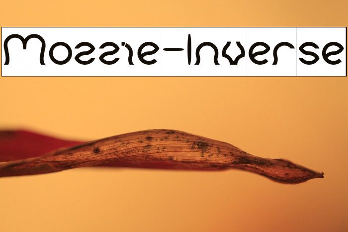 Mozzie-Inverse Example 3