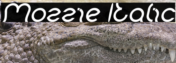 Mozzie Italic Example 3