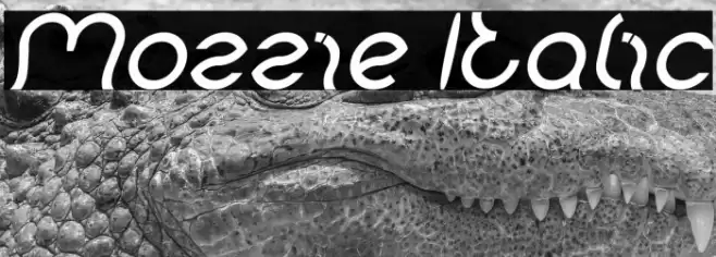 Mozzie Italic Font examples