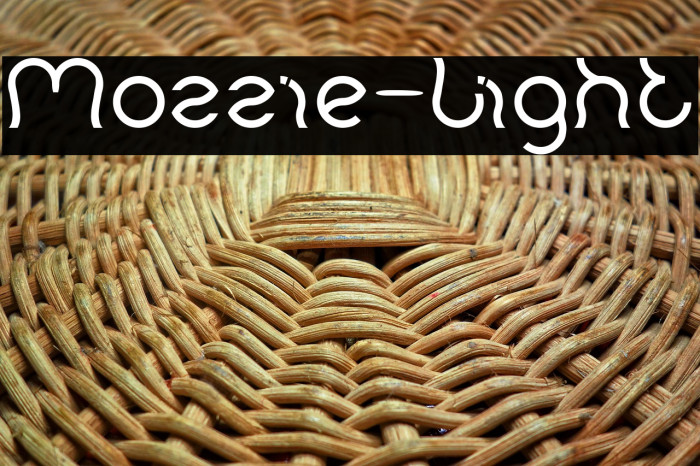 Mozzie-Light Example 1