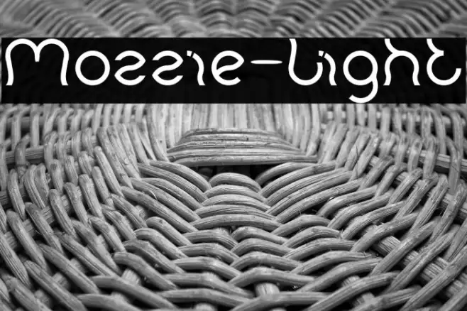 Mozzie-Light Example 1