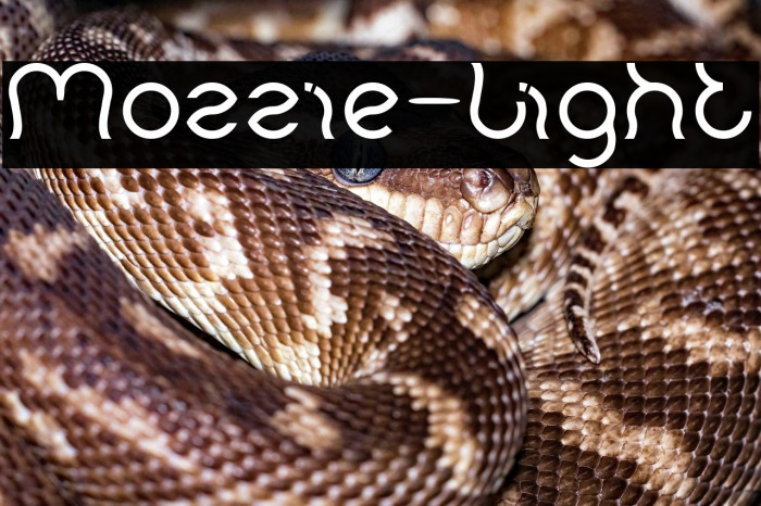 Mozzie-Light Example 2