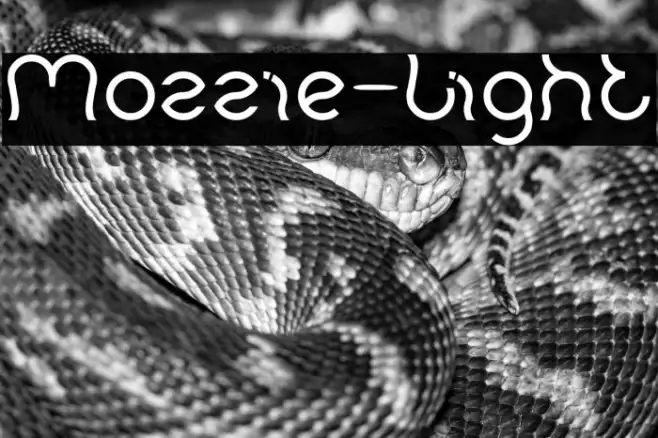 Mozzie-Light Example 2