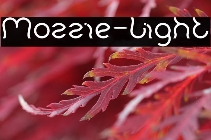 Mozzie-Light Example 3