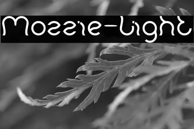 Mozzie-Light Example 3