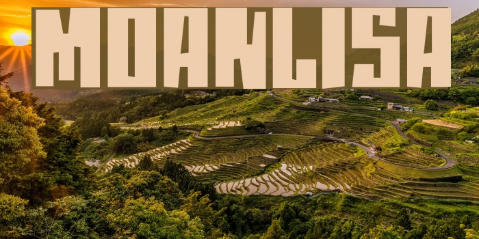 moanLisa Font examples