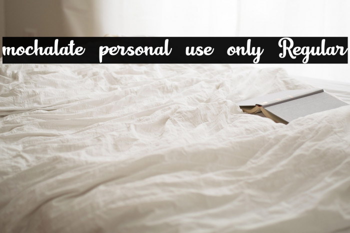 mochalate personal use only Regular Example 1