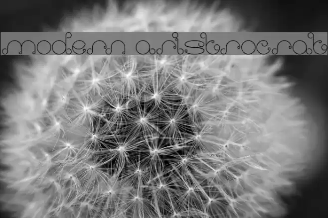 modern aristrocrat Font examples