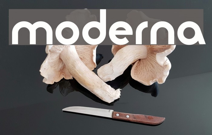moderna Font examples