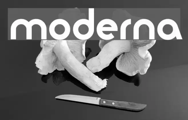 moderna Font examples