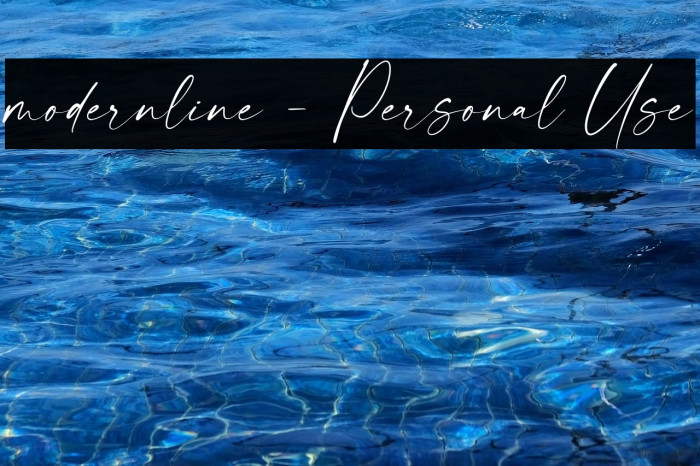 modernline - Personal Use Example 3