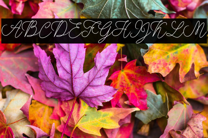 modistascript Example 1