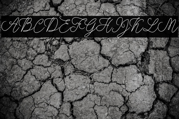 modistascript Example 3