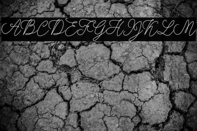 modistascript Font examples