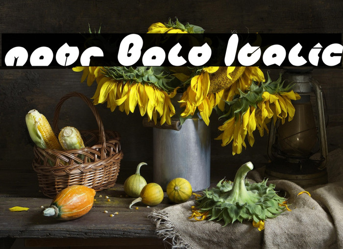 mohr Bold Italic Example 3