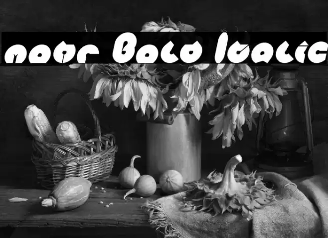 mohr Bold Italic Font examples