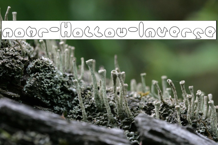 mohr-Hollow-Inverse Example 1