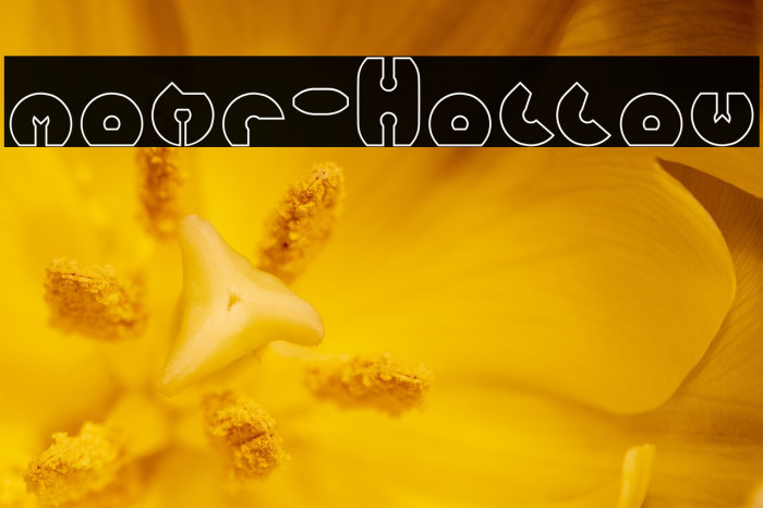 mohr-Hollow Example 3