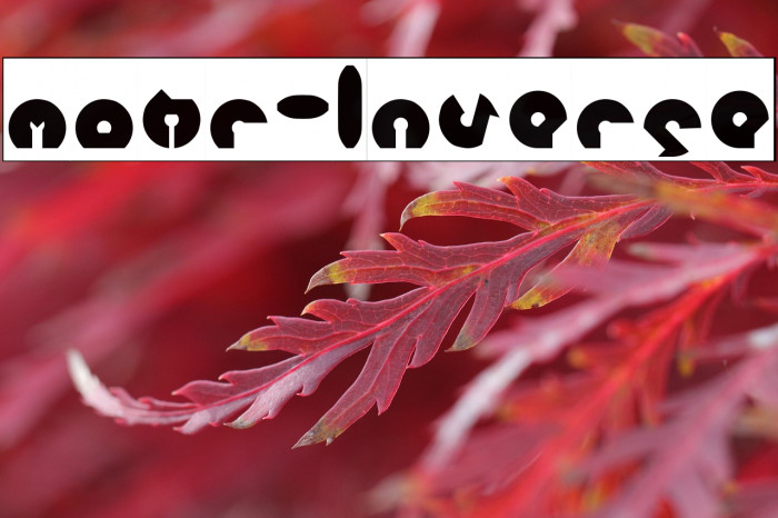 mohr-Inverse Example 1