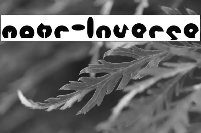 mohr-Inverse Example 1