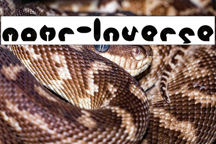 mohr-Inverse Example 3