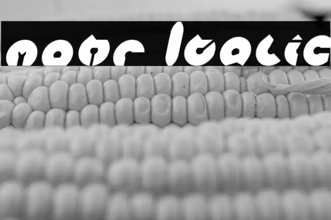 mohr Italic Font examples