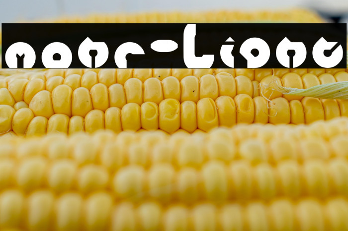 mohr-Light Example 2