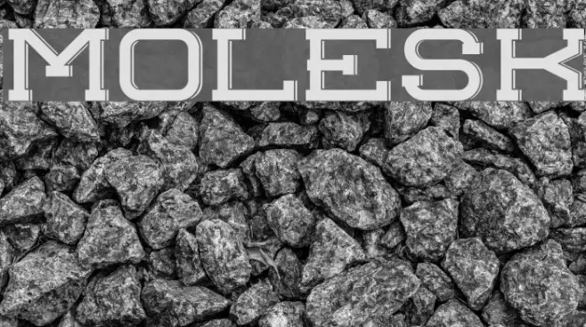 molesk Example 1