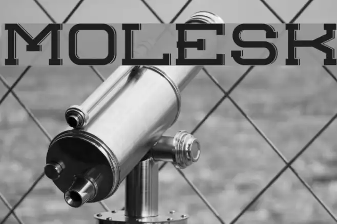 molesk Example 2