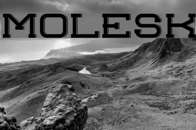 molesk Example 3