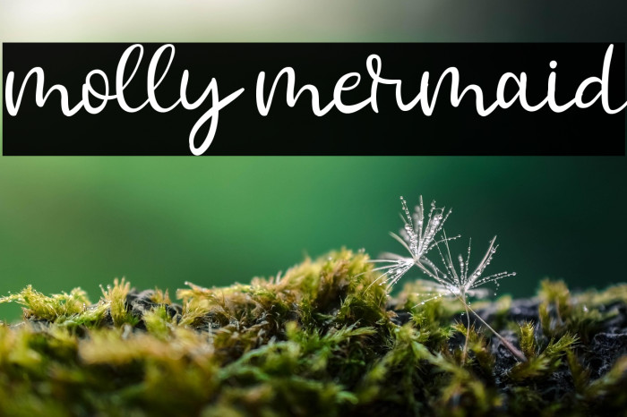 molly mermaid Example 1