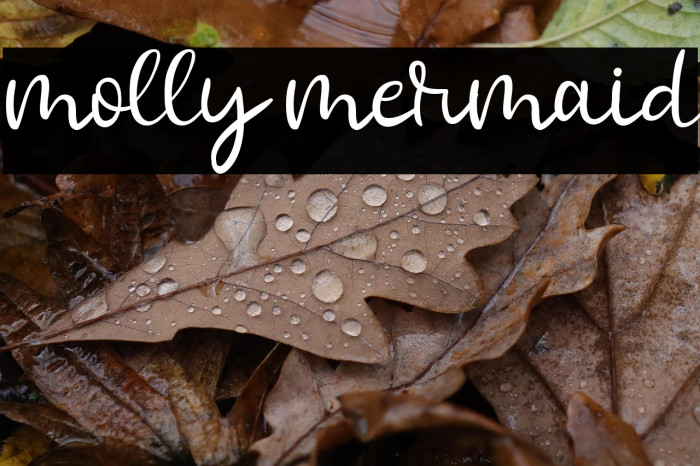 molly mermaid Example 3