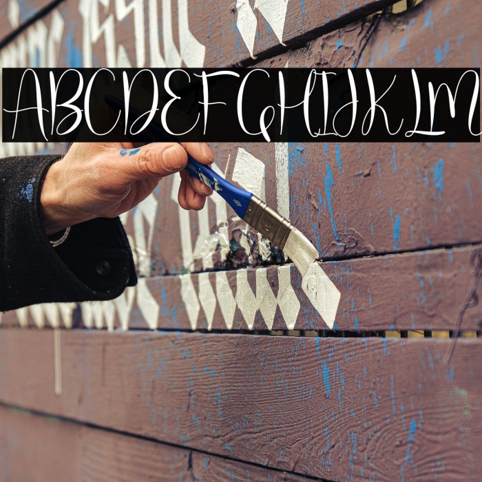 molly willy Example 3