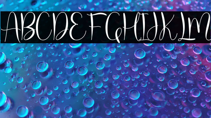 molly willy Example 2