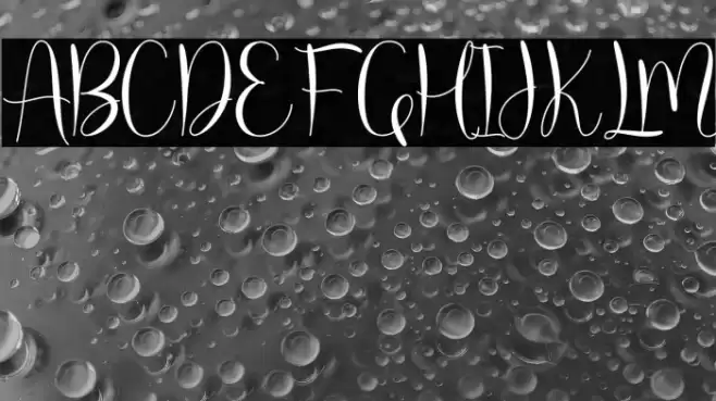 molly willy Font examples