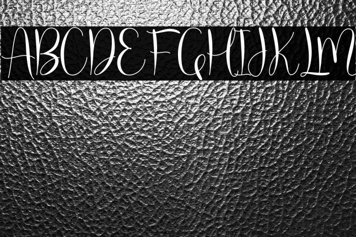 molly willy Example 3