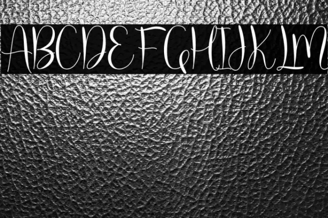 molly willy Font examples