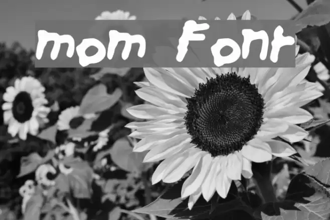 mom Font examples