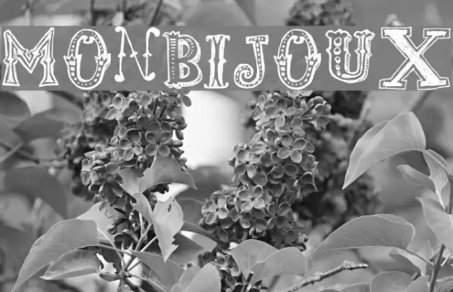 monbijoux Font examples