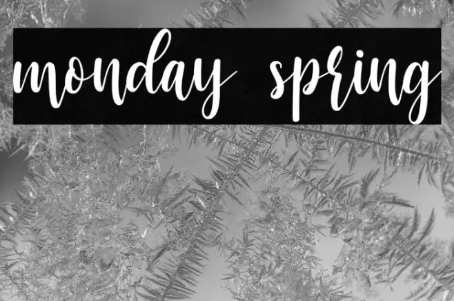 monday spring Example 2