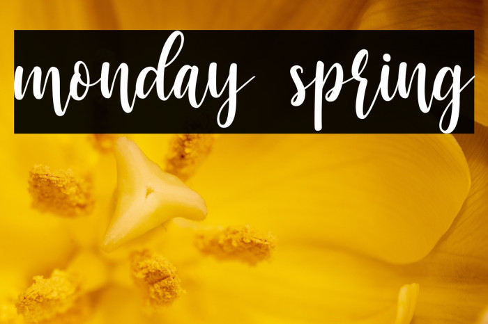 monday spring Example 3