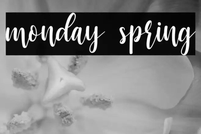 monday spring Example 3