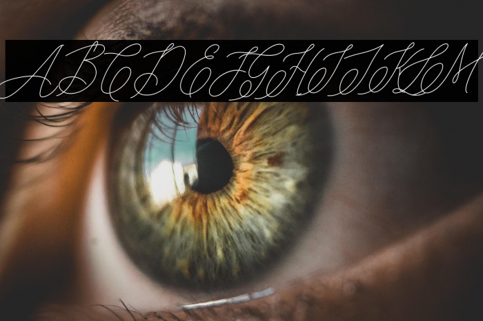 mondayline Example 1