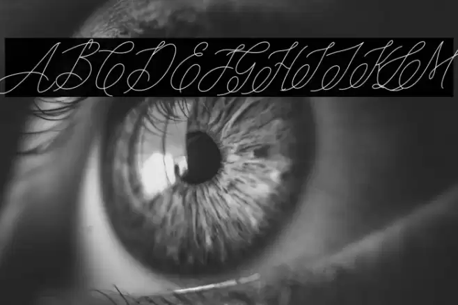 mondayline Font examples