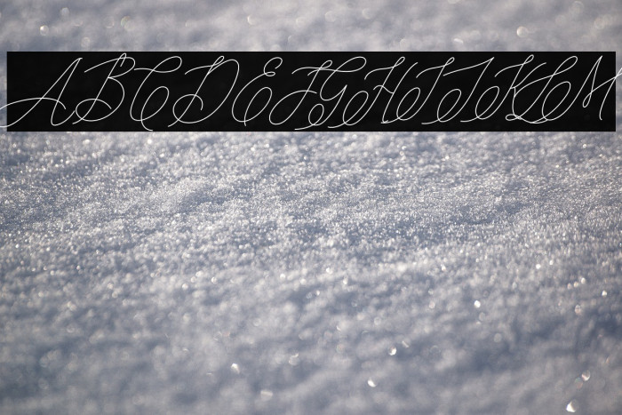 mondayline Example 2