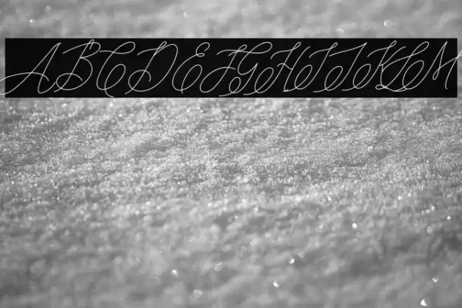 mondayline Font examples