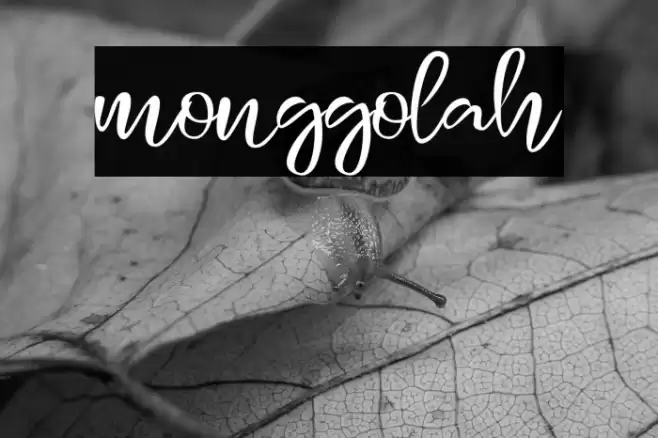 monggolah Font examples