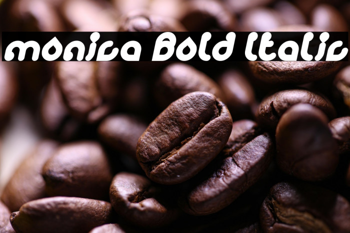 monica Bold Italic Example 1